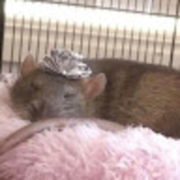 babypinkloveee
